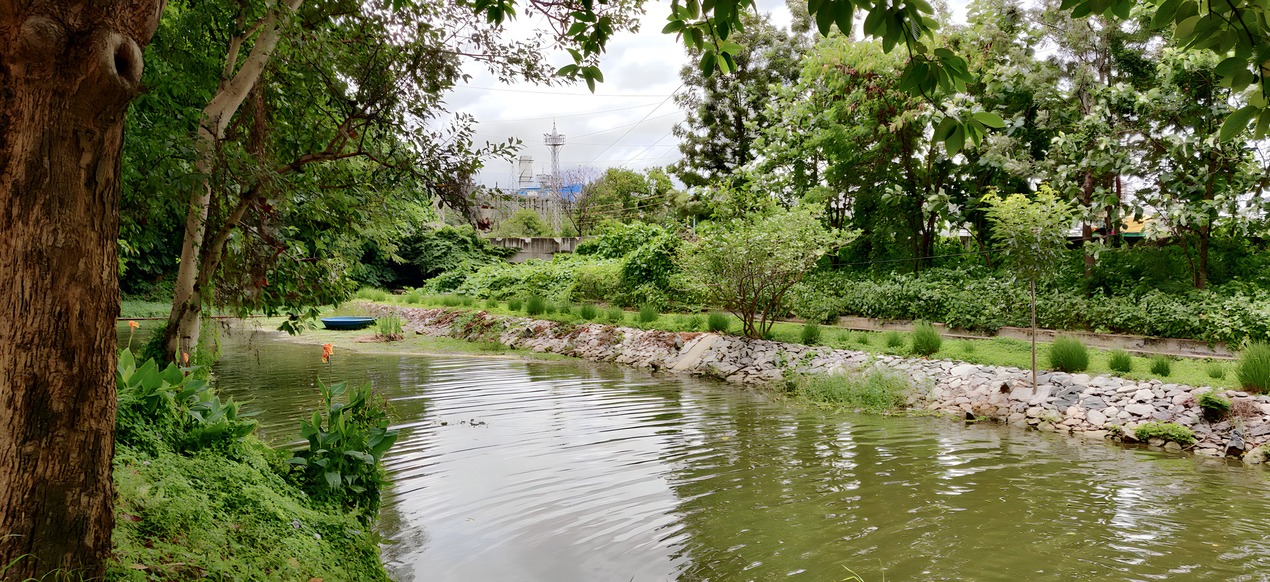Installation of floating islands.